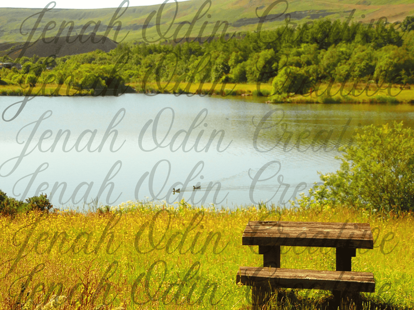 The Bench