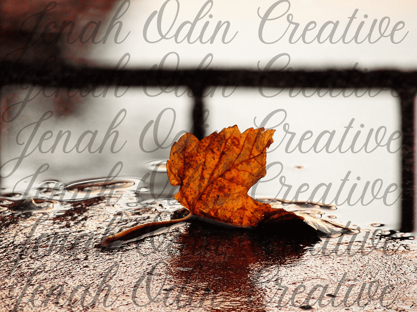 The Fallen Leaf #1