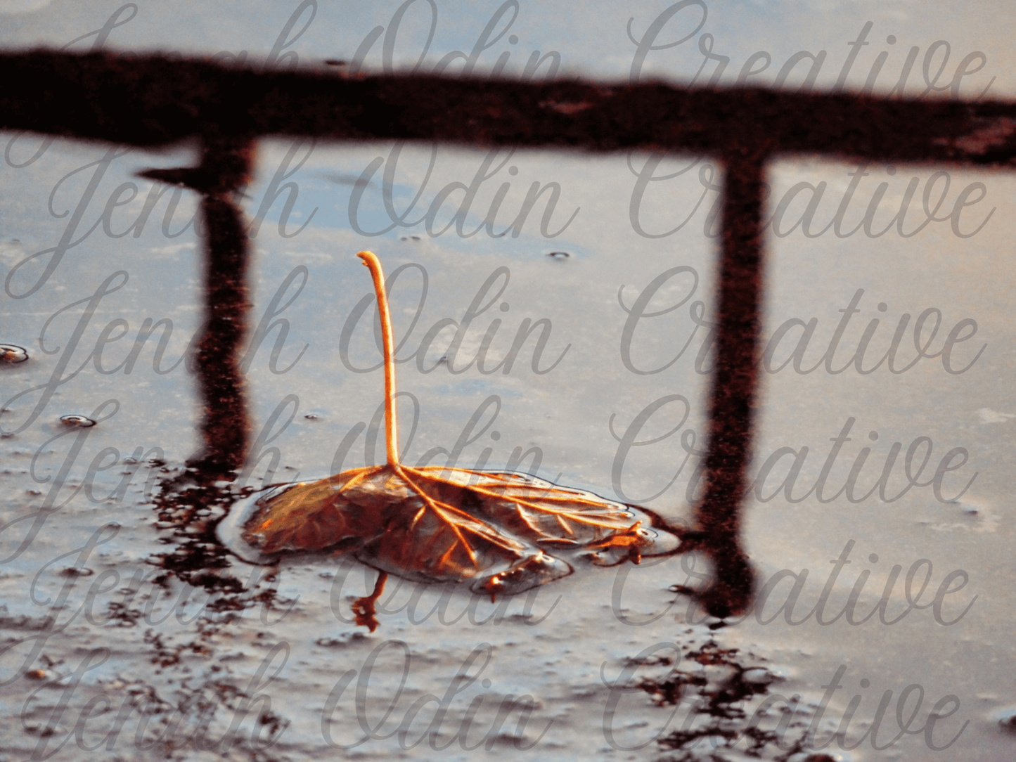 The Fallen Leaf #7