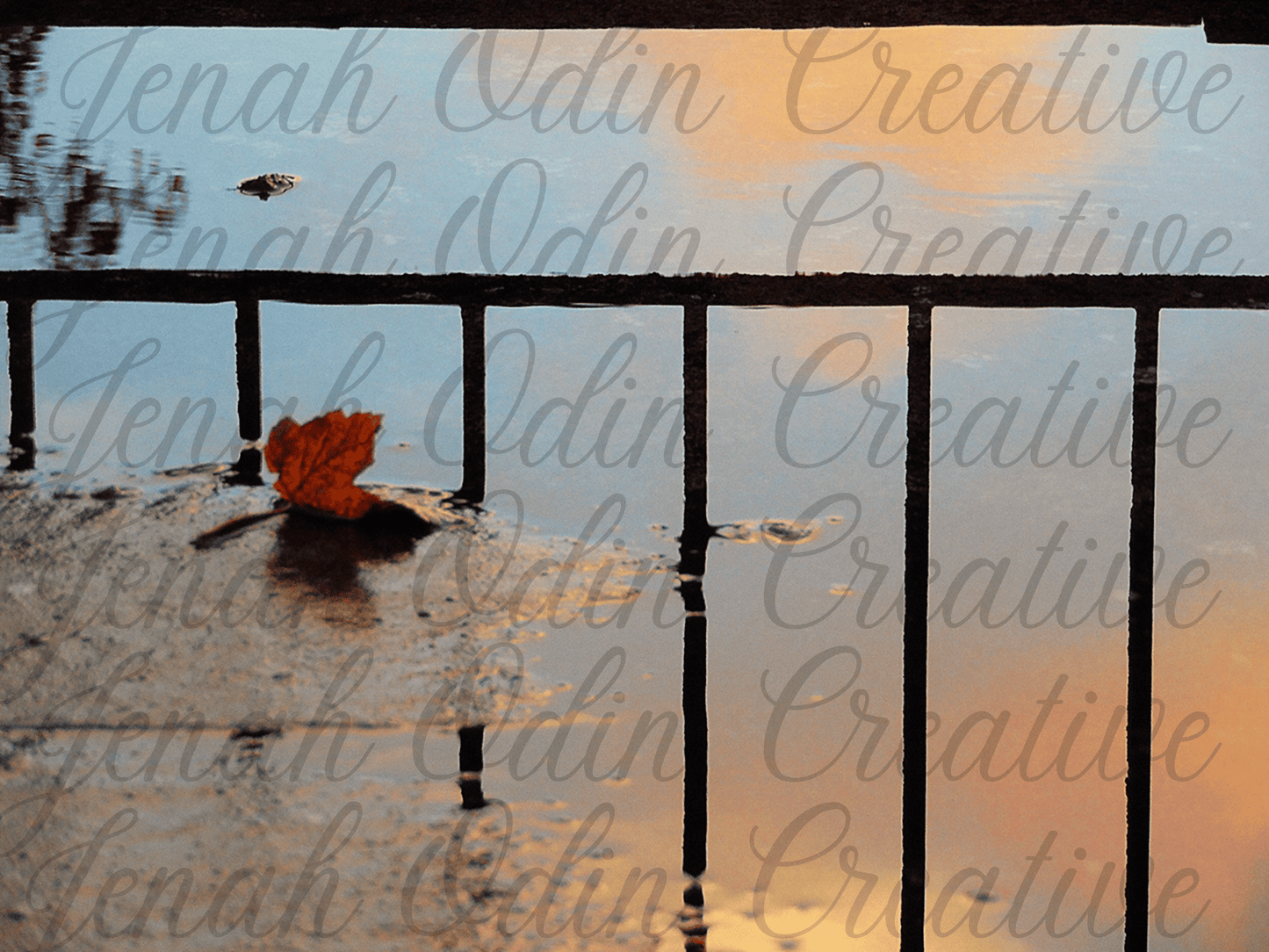 the Fallen Leaf #3