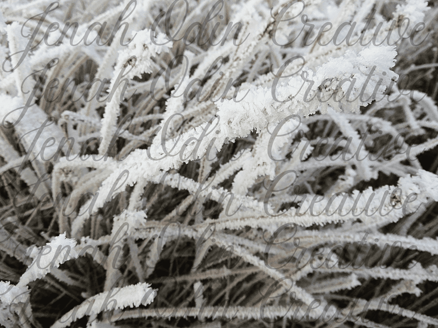 The Frost #1