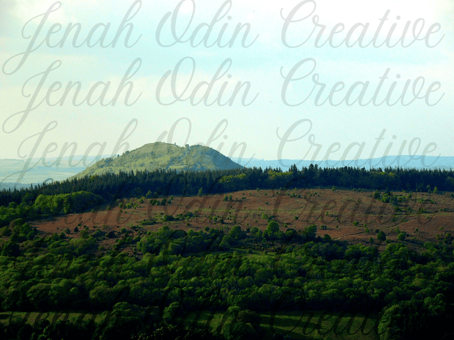 The Landscape #3