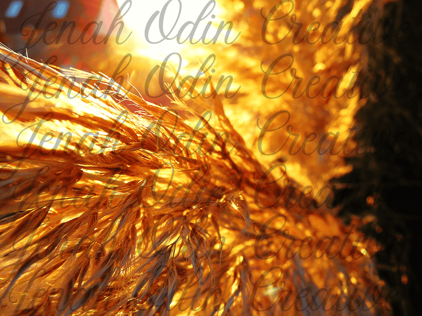 The Pampas #3