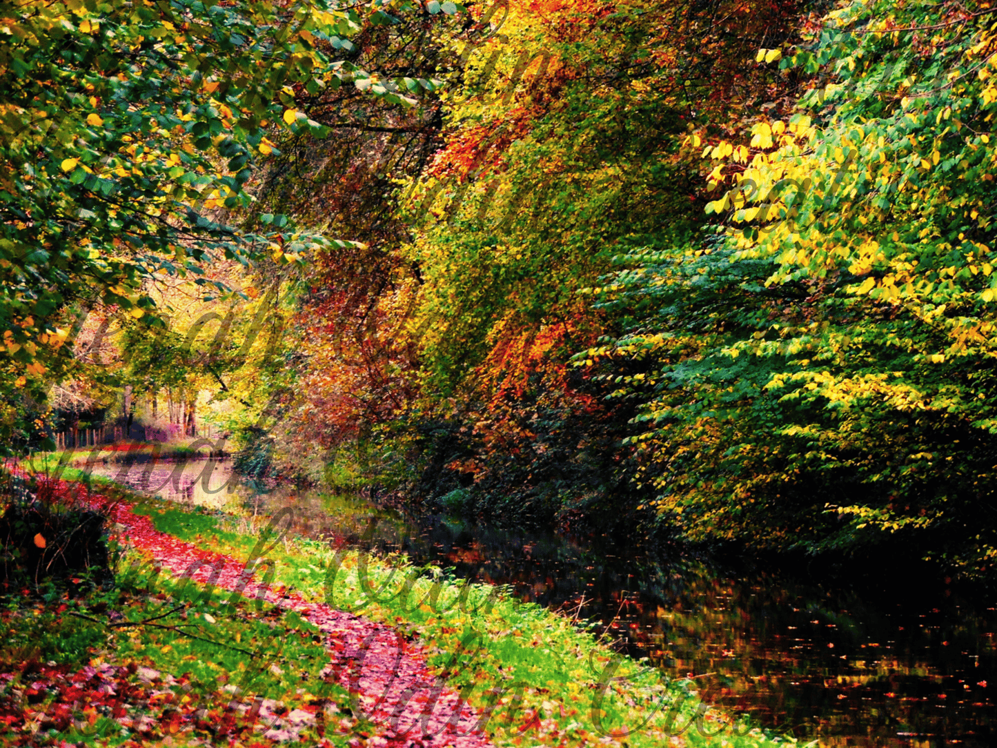 The Whimsical River