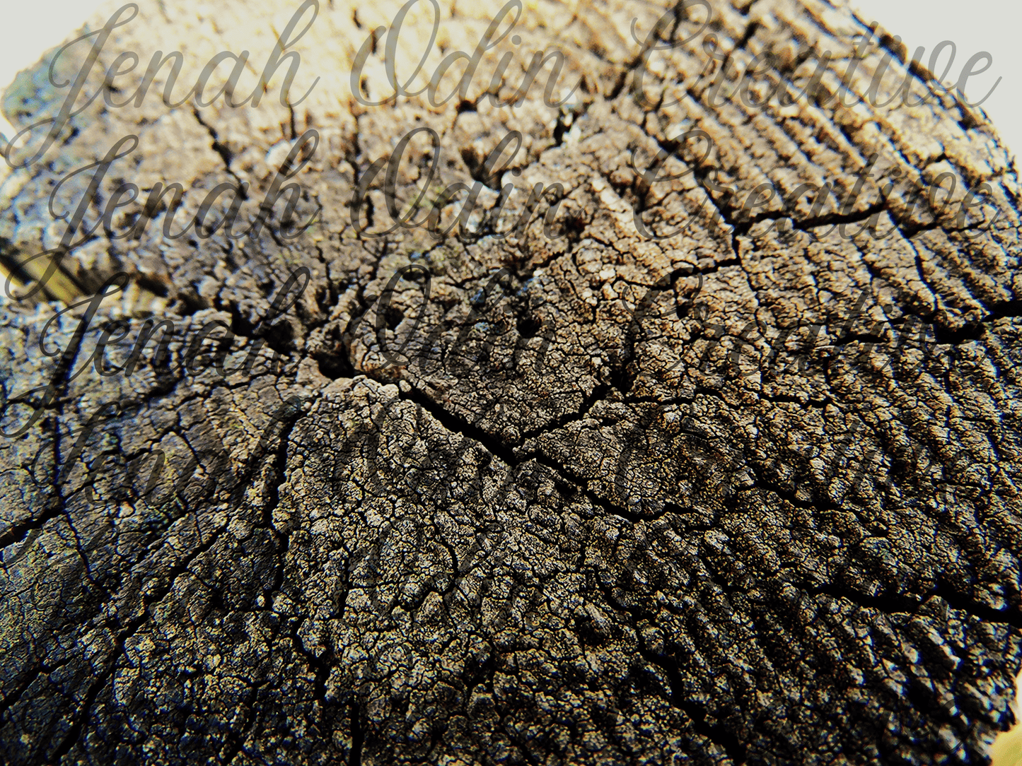 The Wood Grain