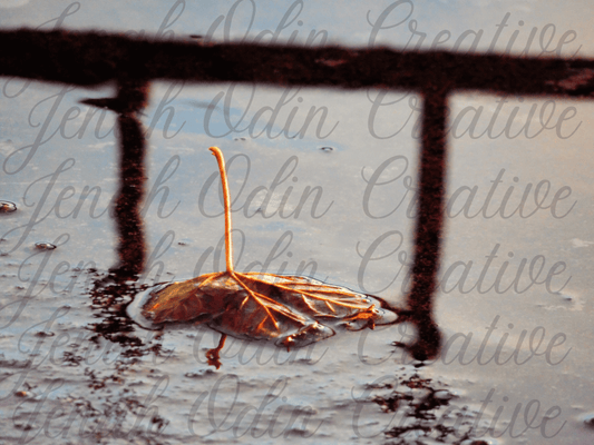 The Fallen Leaf #7