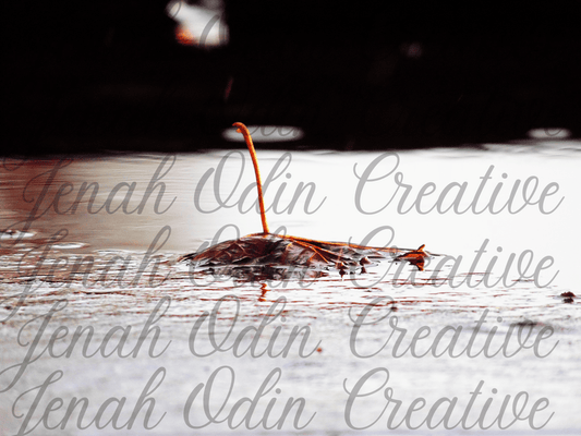 The Fallen Leaf #6