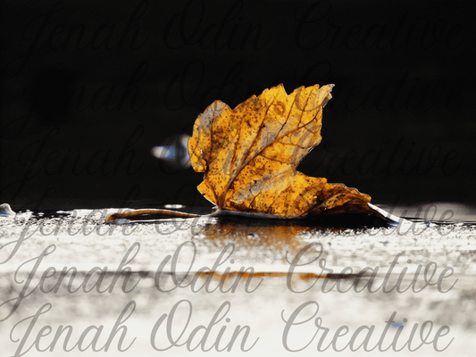 The Fallen Leaf #4