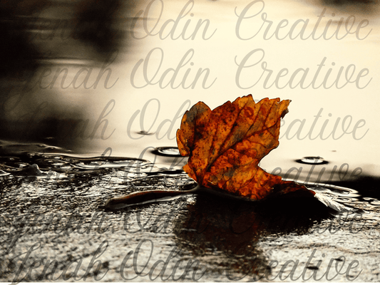 The Fallen Leaf #2