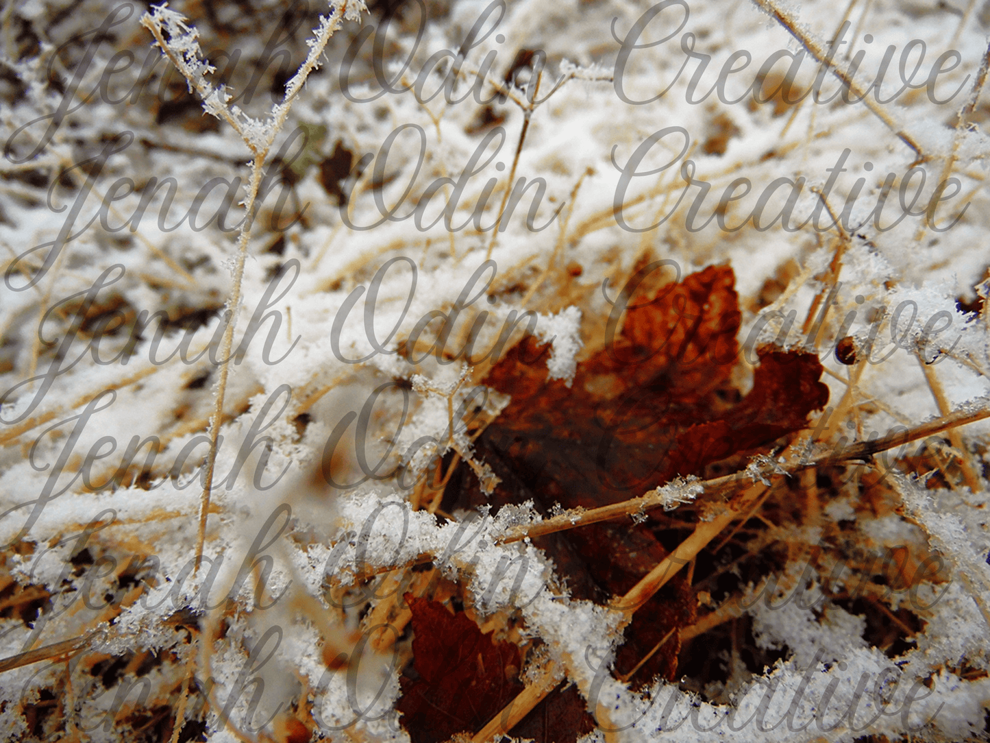 The Frost #9