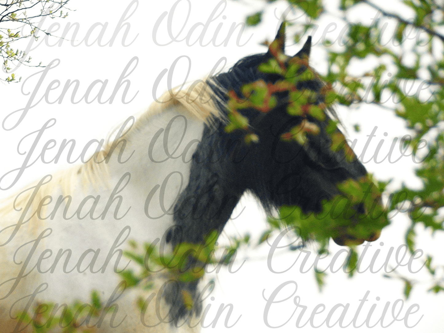 The Hidden Horse