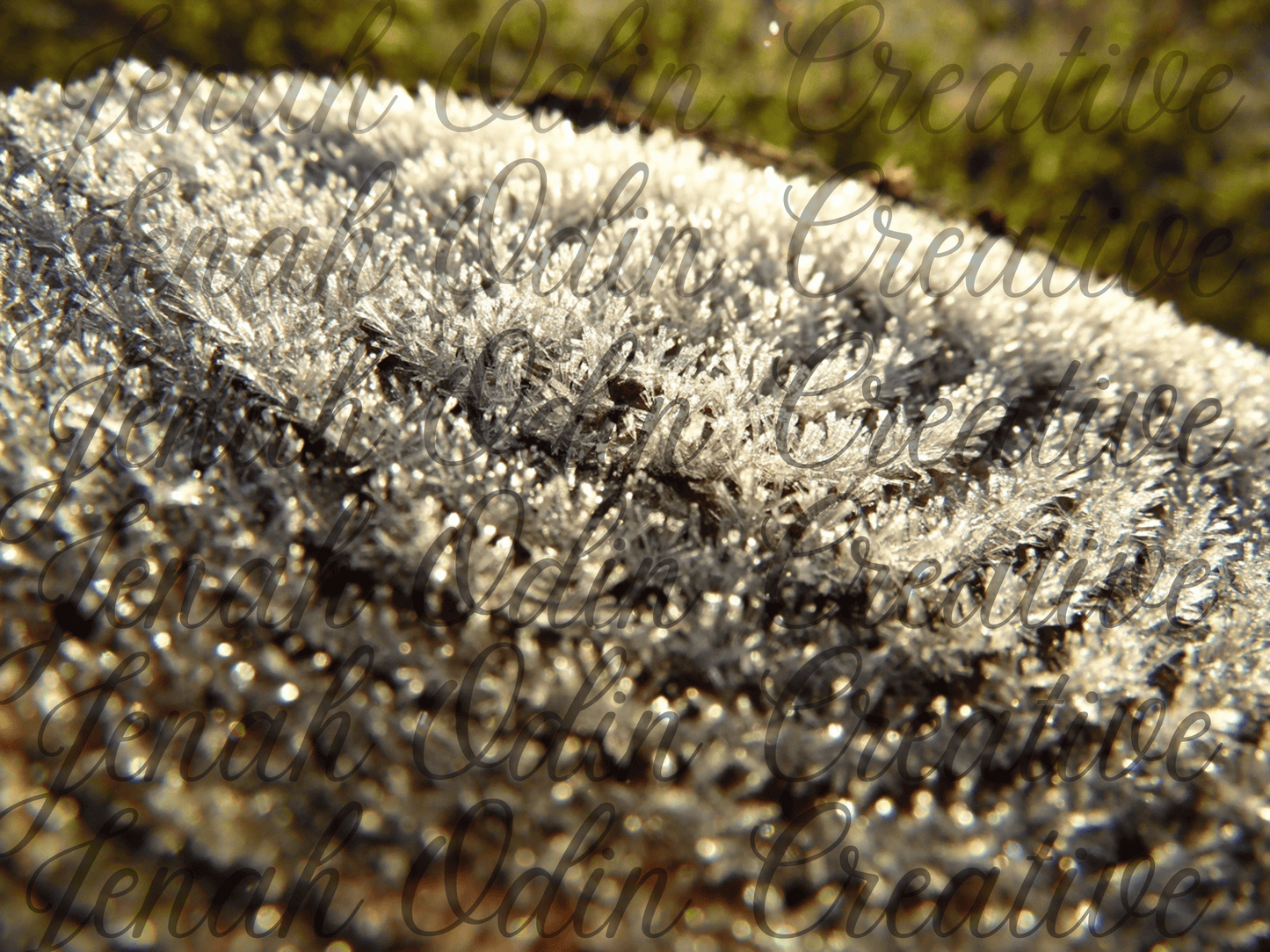 The Frost #3