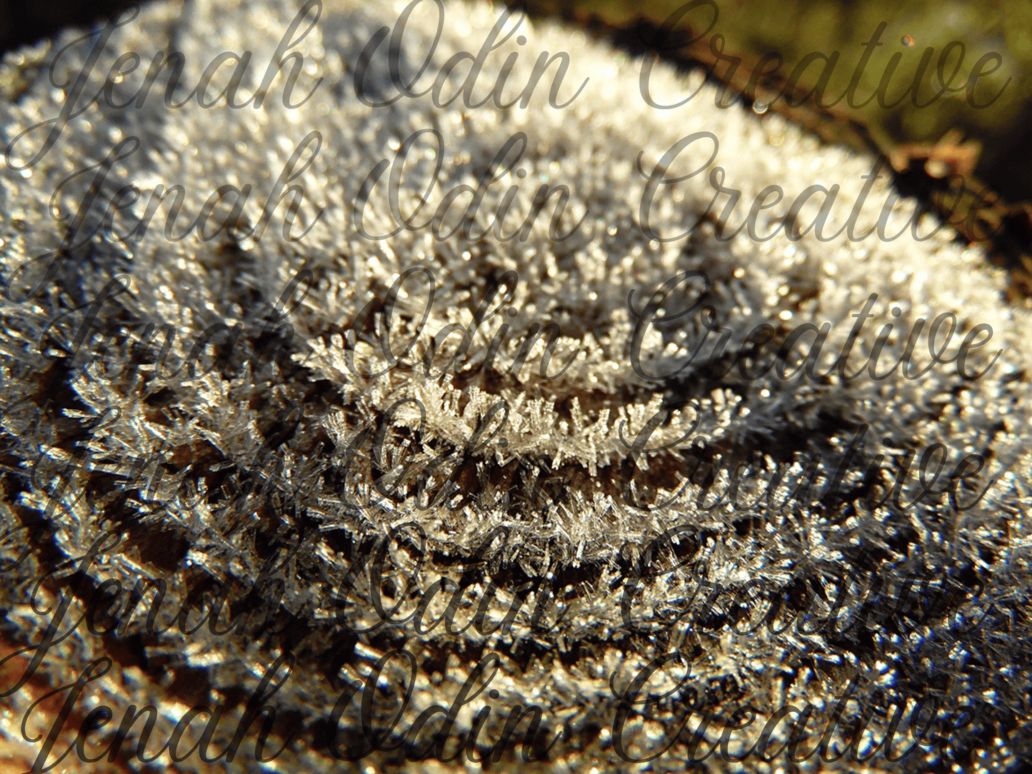 the Frost#4