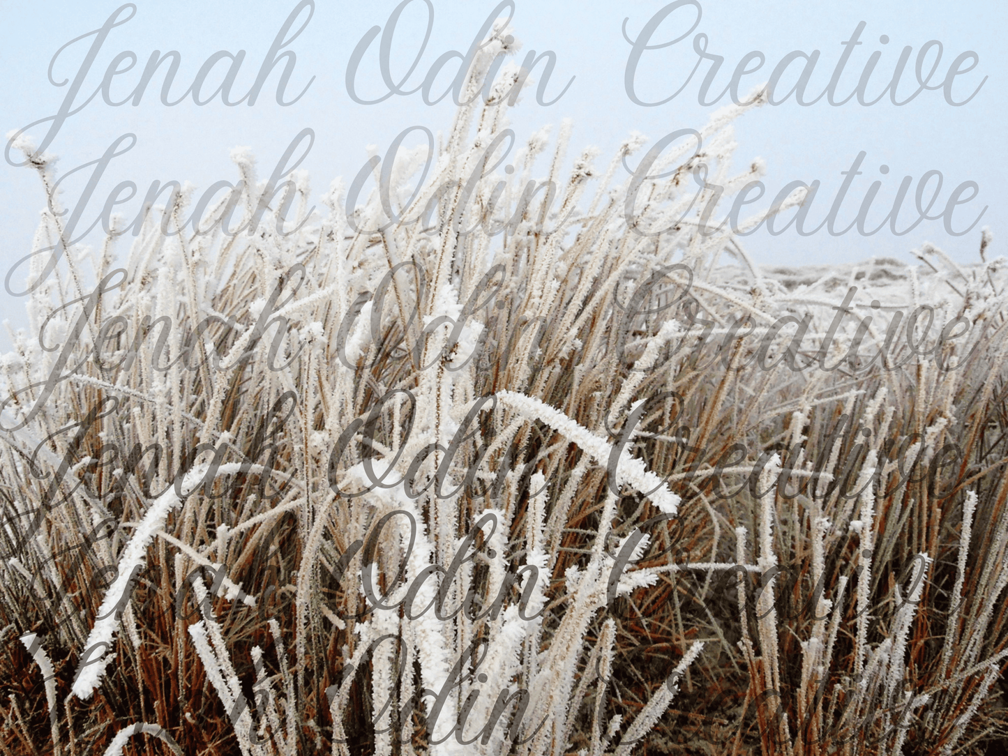 The Frost #2