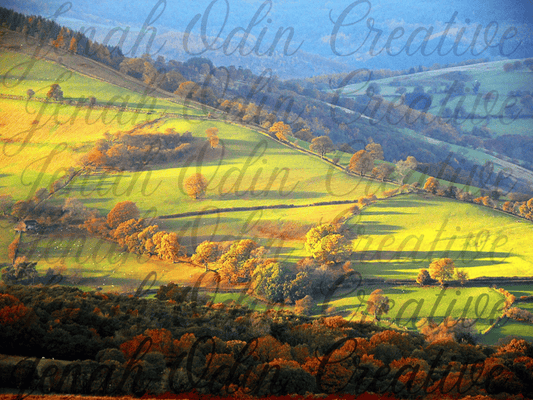 The Landscape #2