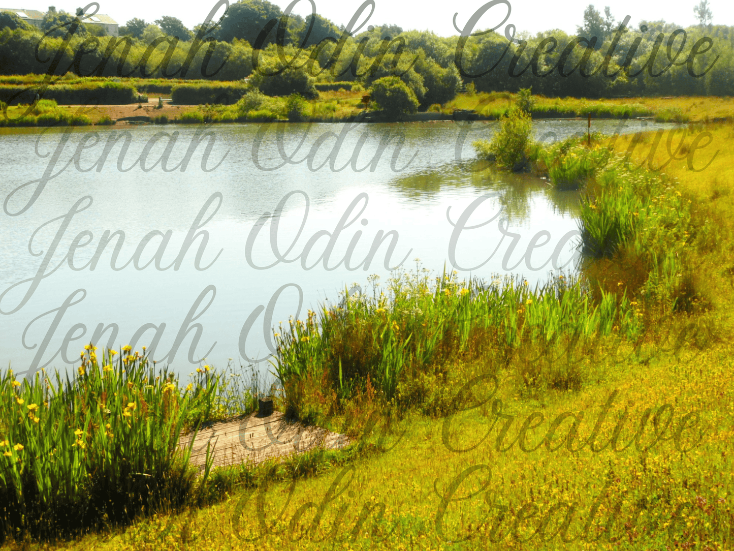 The Secluded Lake
