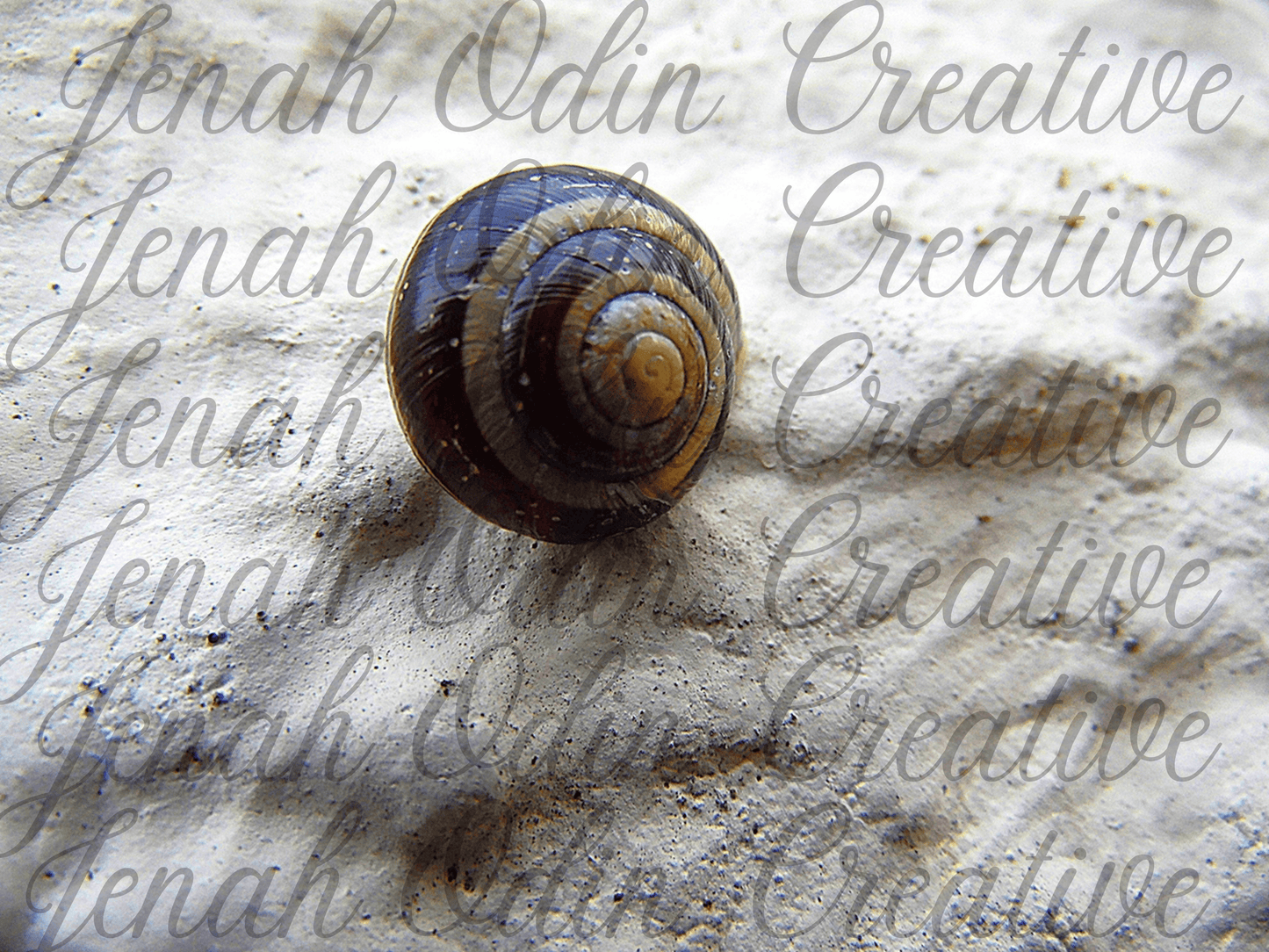 The Snail