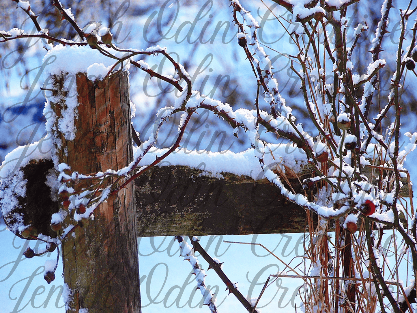 The Snow #4