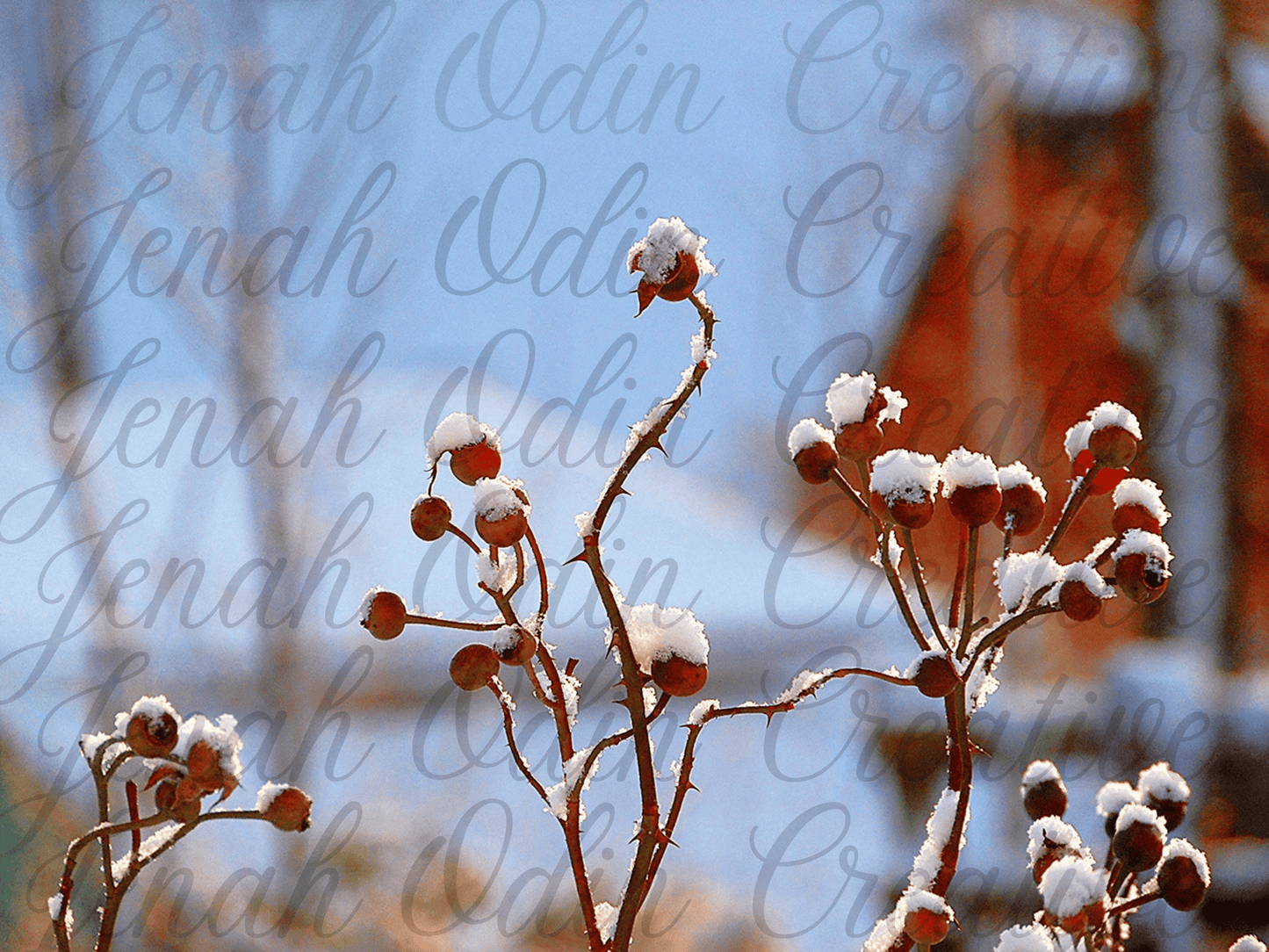 The Snow #3
