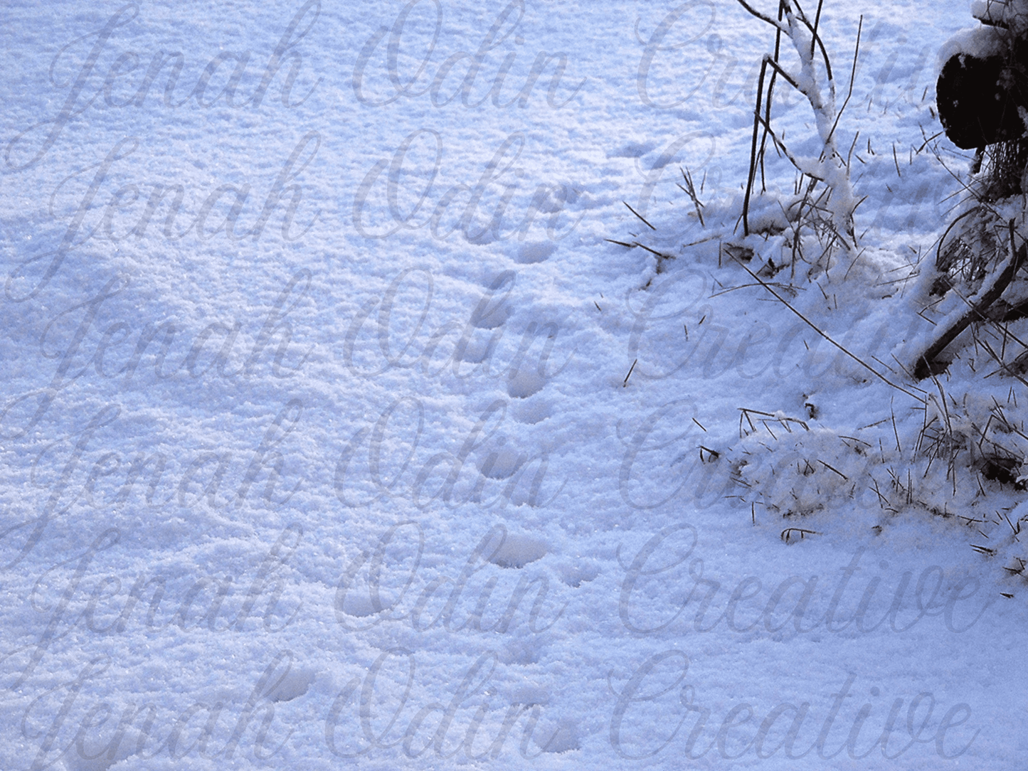 The Snow #1