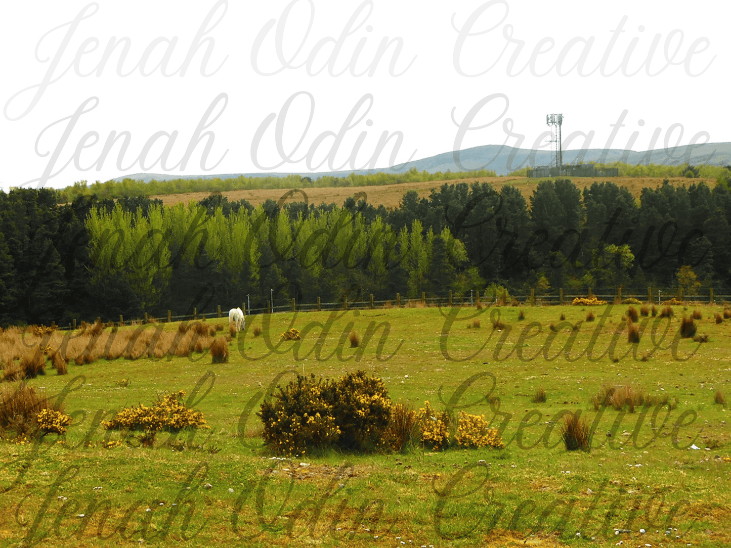 The Tree Line #3