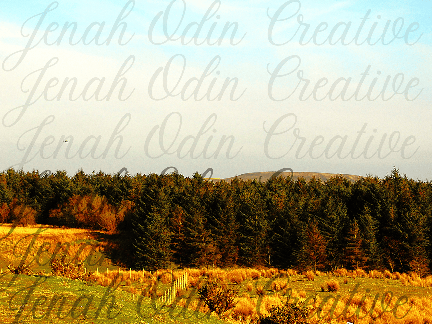 The Tree Line #2