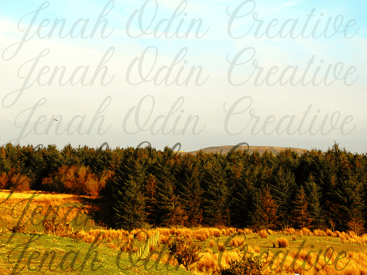 The Tree Line #2